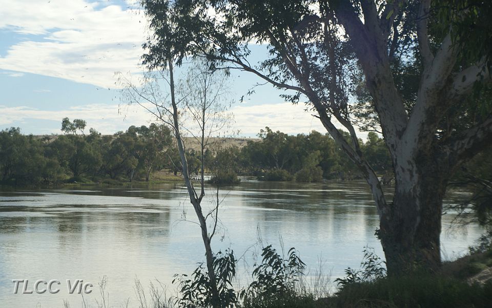 01-Cooper Creek at Cullyamurra Waterhole.JPG